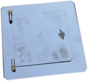 Дверка димохідна на завісах (нержавіюча сталь)